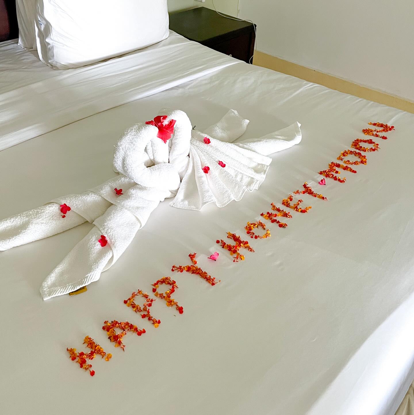 Honeymoon turndown with towel swans and petal lettering